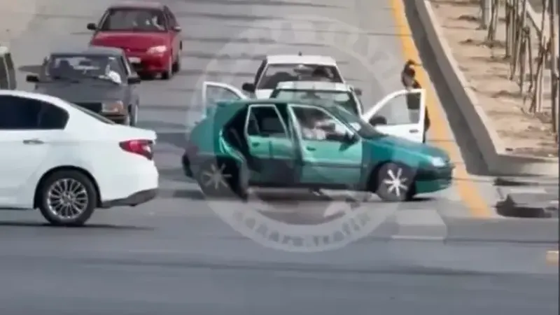 Yaşlı adamı kılıç ve bıçaklarla ağır yaraladılar