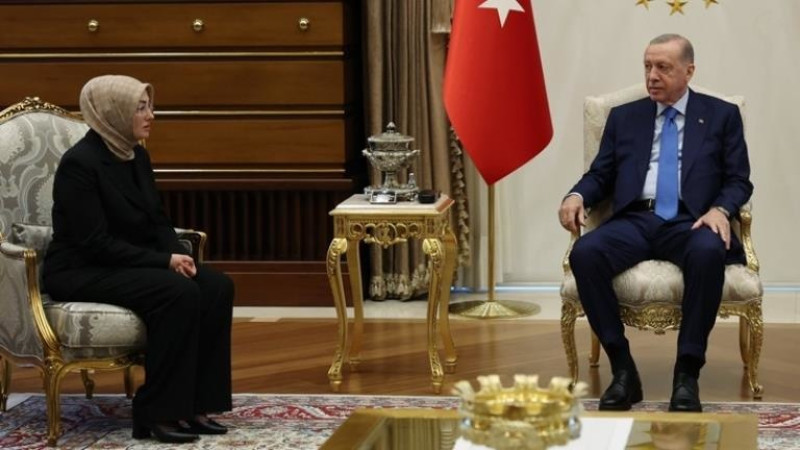 Erdoğan ile görüşen Sinan Ateş'in eşi Ayşe Ateş'ten açıklama var