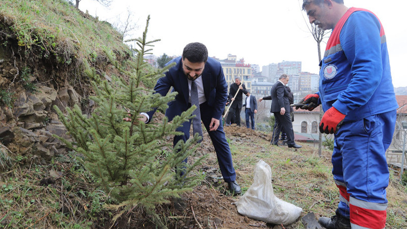 HER BEBEK BİR AĞAÇLA BÜYÜYOR: KÂĞITHANE'DE YEŞİL GELECEK